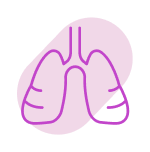 Lung icon